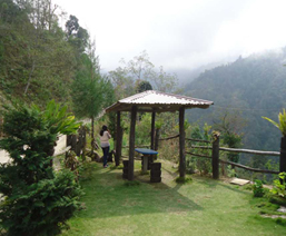 Area to Visit- Lava Lolegaon