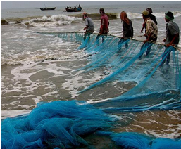 Area to Visit- Shankarpur